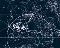 Созвездие «Малая Медведица»