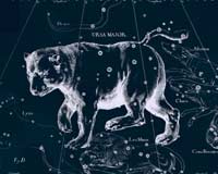 Созвездие «Большая Медведица»