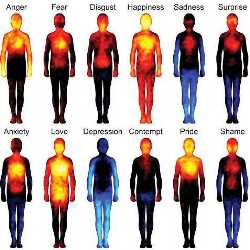 Ученые составили карту, показывающую, где мы чувствуем эмоции