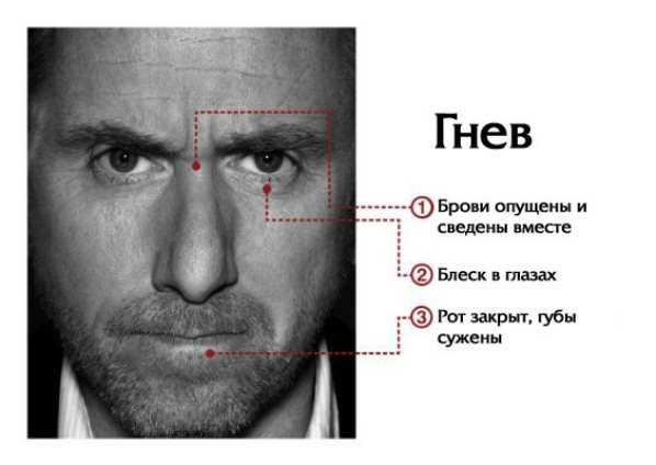 Ученые составили карту, показывающую, где мы чувствуем эмоции