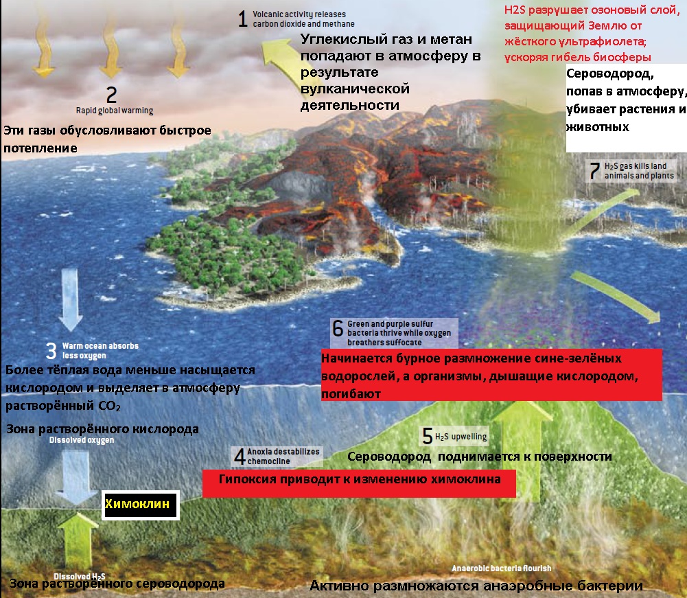 Целый Мир не обмануть!