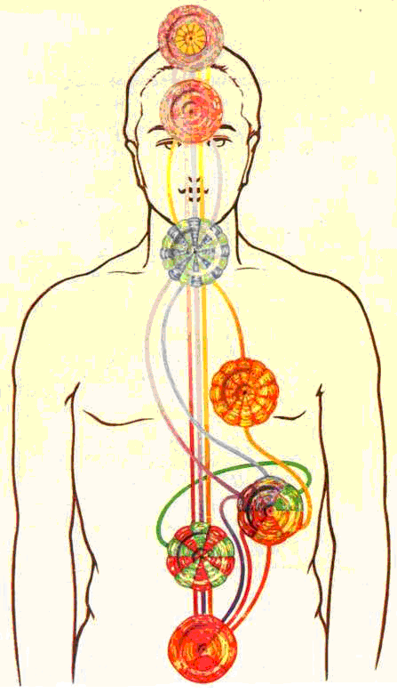 Чакры: Разноцветные цветы лотоса