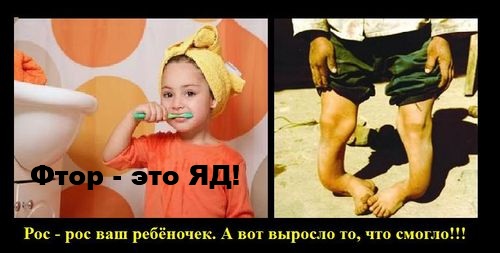 Правда о фторе. Фтор — яд, отрава и элемент геноцида