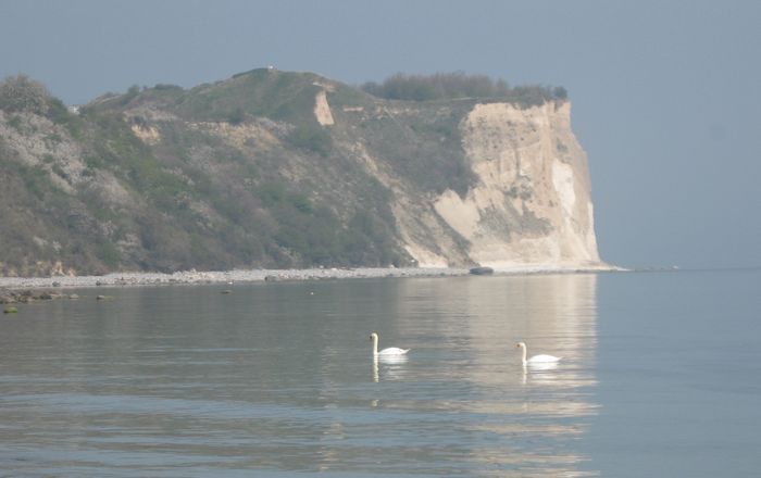 Гардарика. Русь Полабская