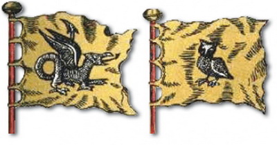 Известный флаг неизвестной страны