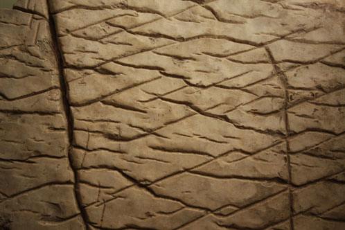 Ископаемая каменная  карта Урала