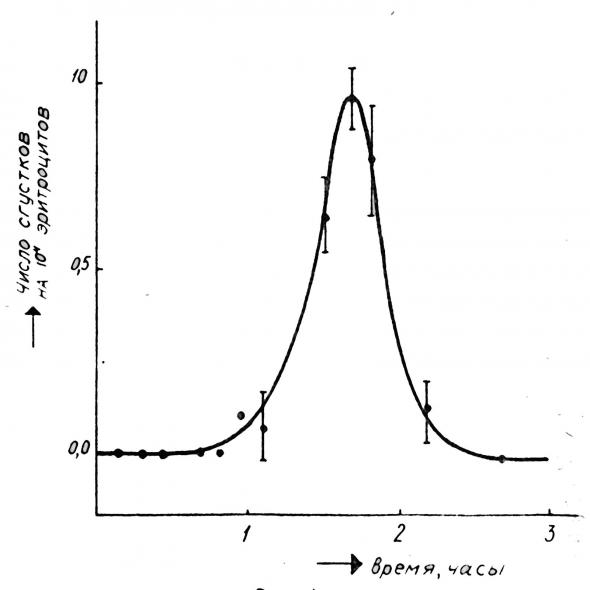 Пить или не пить...