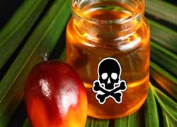 Пальмовая отрава на наших столах