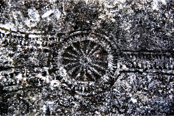 Русь крестили в 17 веке