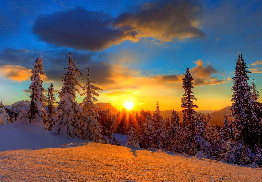 Серьёзный разговор про рождественскую ёлку, Деда Мороза и Новый Год.