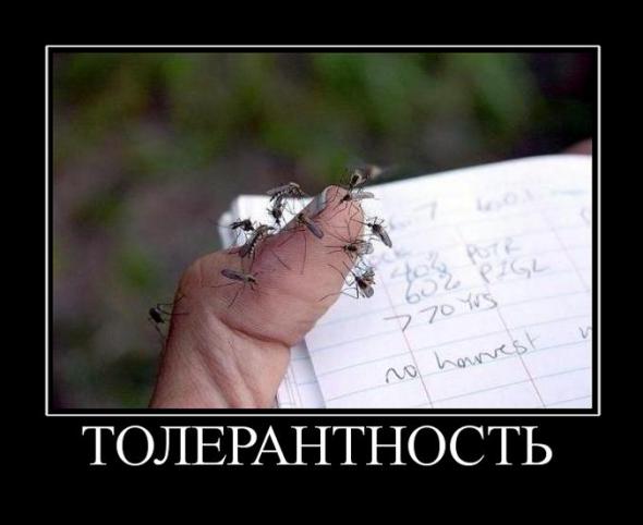 Толерантность и политкорректность