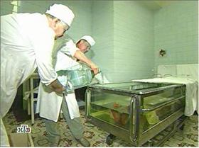 Тайна Зиккурата и терафима на Красной площади