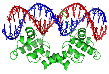 Вторая роковая ошибка Светлых Сил
