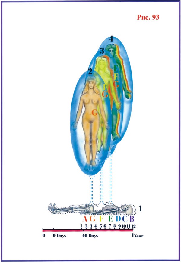 Жизнь после Жизни. Наказание за грехи. Карма