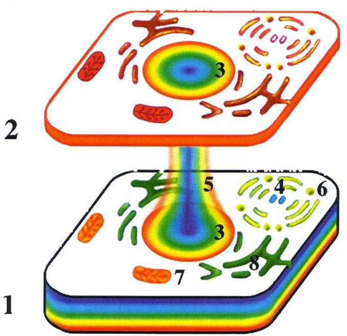 Жизнь после Жизни. Наказание за грехи. Карма