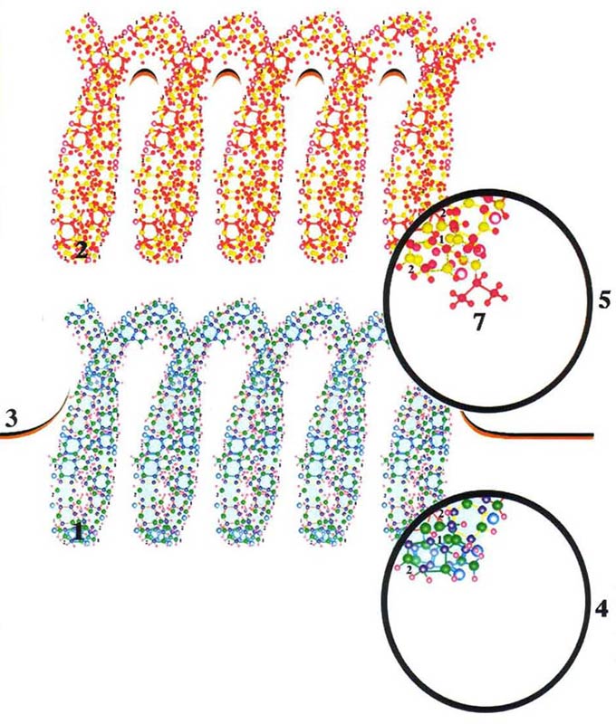 Жизнь после Жизни. Наказание за грехи. Карма