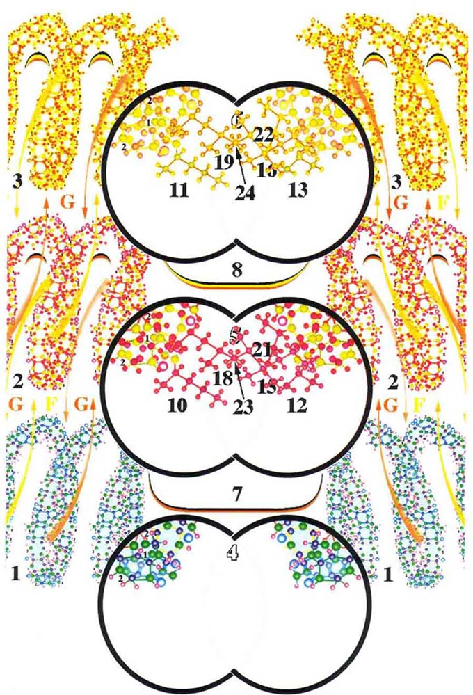Жизнь после Жизни. Наказание за грехи. Карма