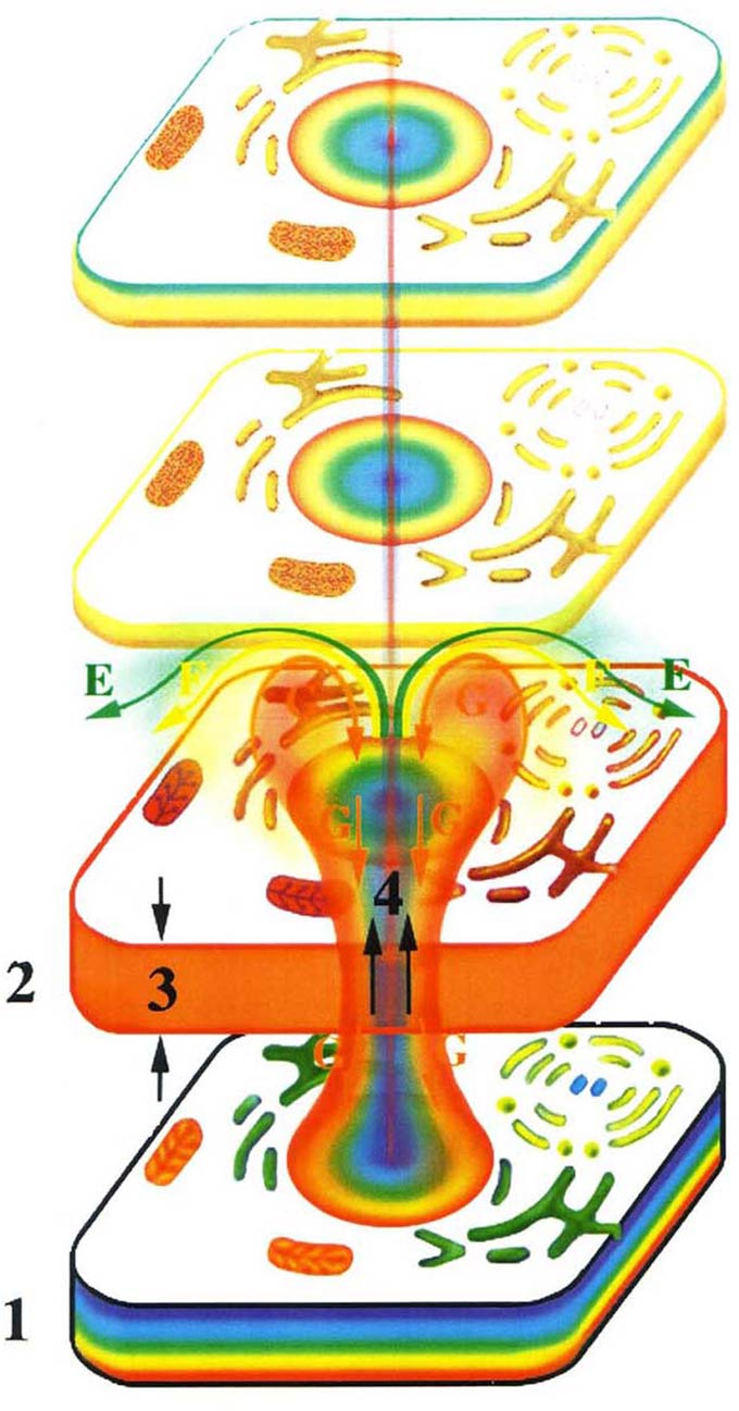 Жизнь после Жизни. Наказание за грехи. Карма