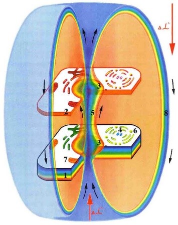 Жизнь после Жизни. Наказание за грехи. Карма