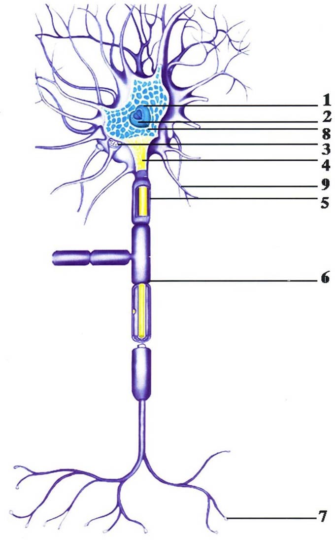 Жизнь после Жизни. Наказание за грехи. Карма
